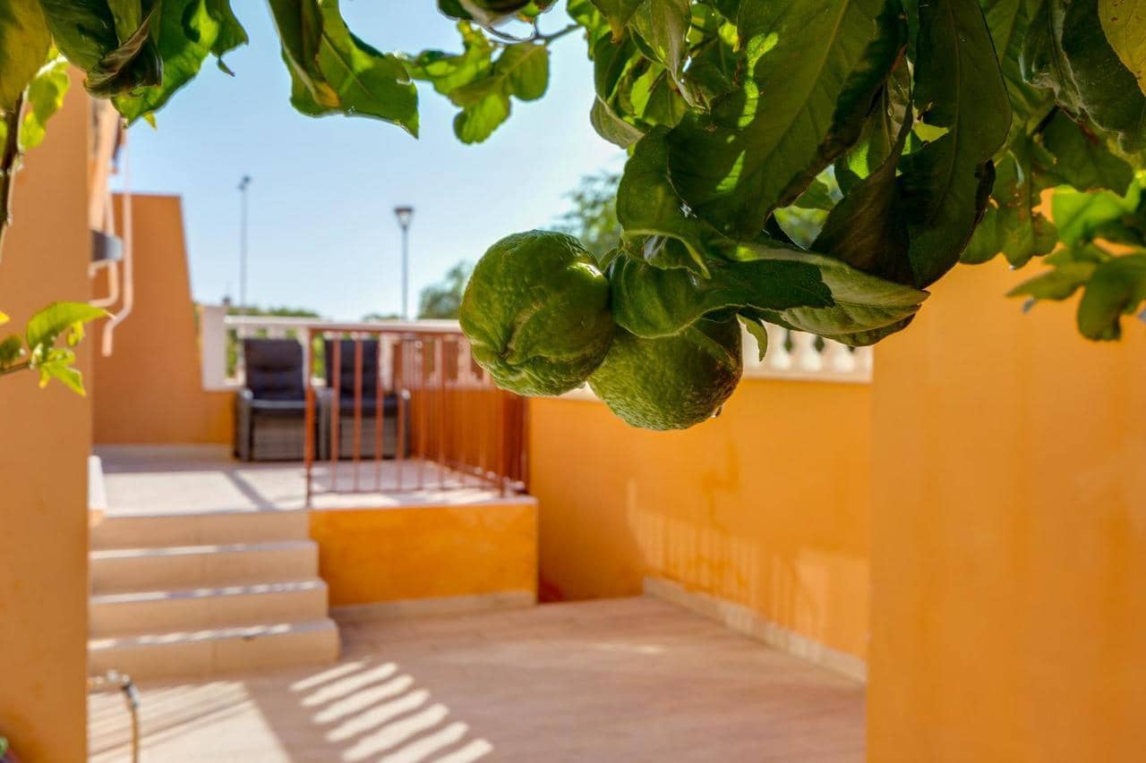 Bungalow de 2 habitaciones en Torrevieja en venta con piscina - 204.000 € (Ref: 9633813)