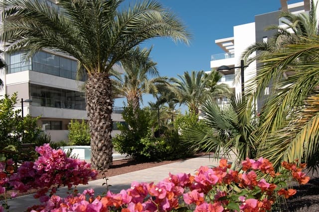 Apartamento de 3 habitaciones en Dehesa de Campoamor, Orihuela en venta con piscina - 274.000 € (Ref: 9711063)