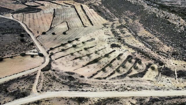 2 chambre Villa/Maison à vendre à Torre del Rico, Jumilla avec piscine garage - 299 000 € (Ref: 9719453)