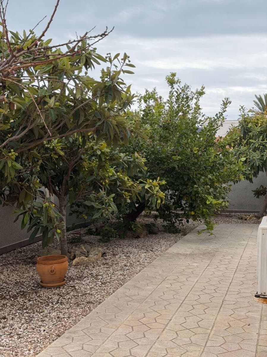 Chalet de 5 habitaciones en Playa Flamenca en venta con piscina - 650.000 € (Ref: 9735291)