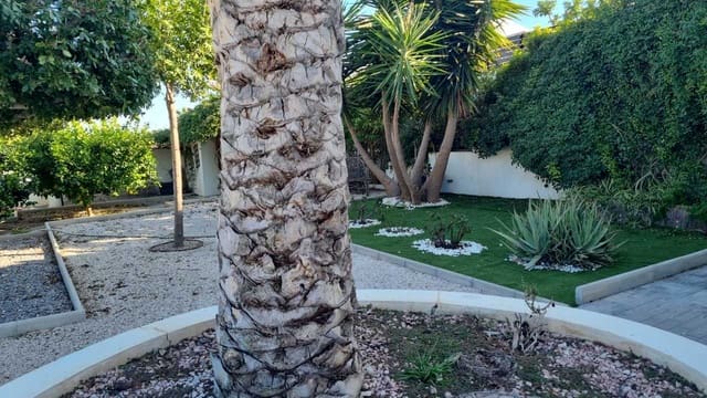 4 bedroom Villa for sale in Santomera with pool garage - € 354,995 (Ref: 9738295)