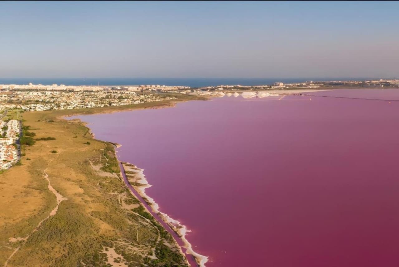 4 makuuhuone Huvila myytävänä paikassa Torrevieja mukana uima-altaan - 559 000 € (Ref: 9806225)