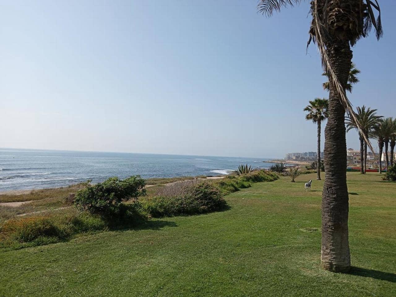 2 chambre Appartement à vendre à Torrevieja avec piscine - 129 900 € (Ref: 9845107)