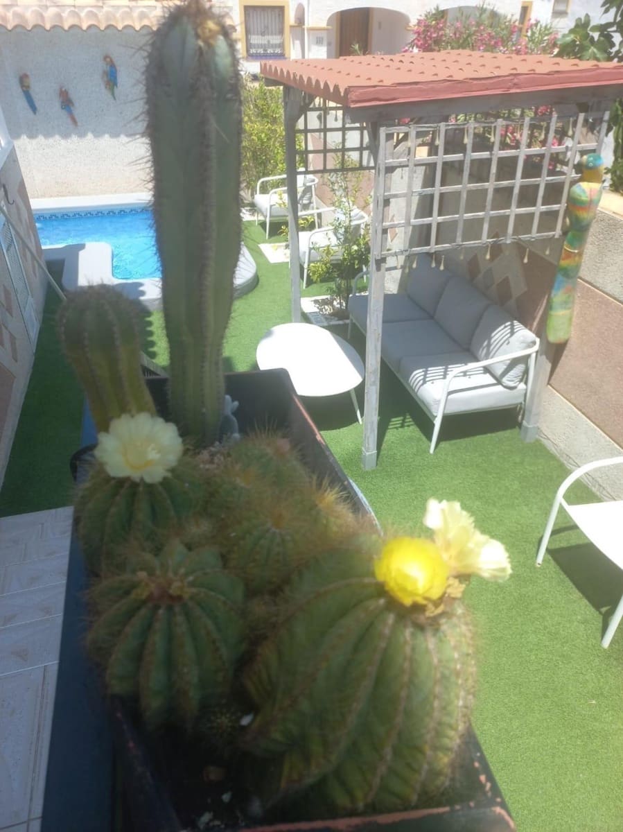 3 bedroom Townhouse for sale in Orihuela Costa with pool - € 255,900 (Ref: 9924225)