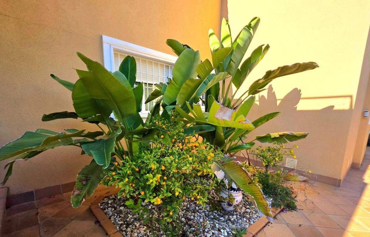 5 slaapkamer Huis te koop in Orihuela Costa met zwembad - € 739.900 (Ref: 9999789)