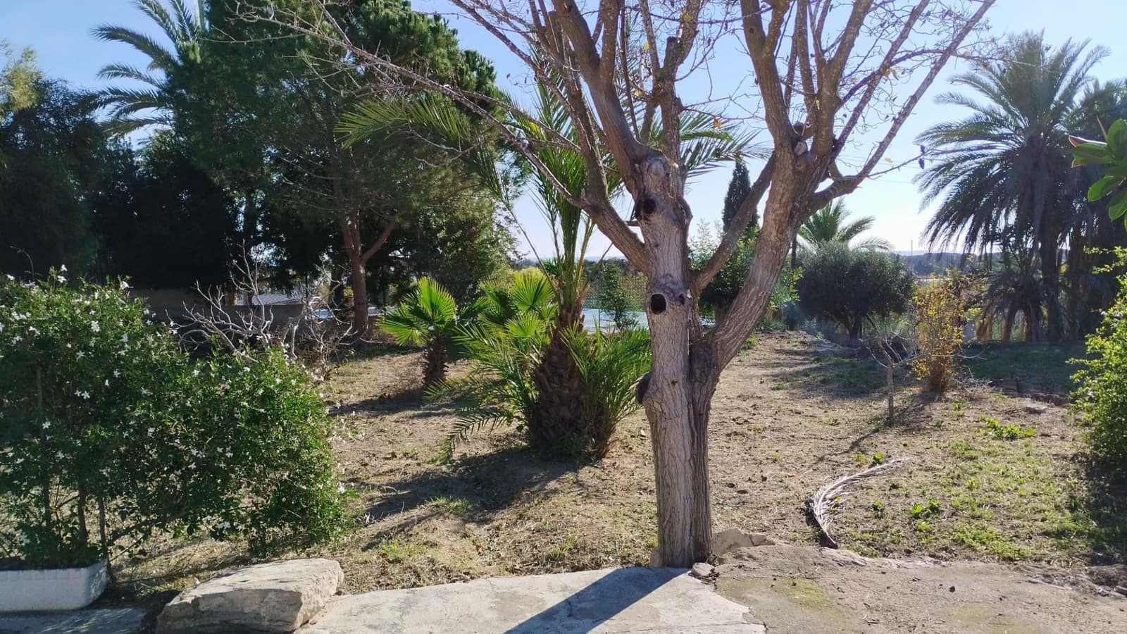 5 soveværelse Finca/Landehus til salg i La Marina - € 270.000 (Ref: 8842909)