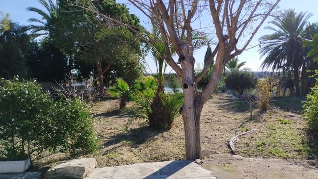 5 soveværelse Finca/Landehus til salg i La Marina, Elche / Elx - € 270.000 (Ref: 8842909)