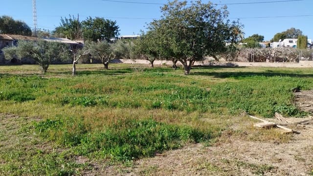 5 soveværelse Finca/Landehus til salg i La Marina, Elche / Elx - € 270.000 (Ref: 8842909)