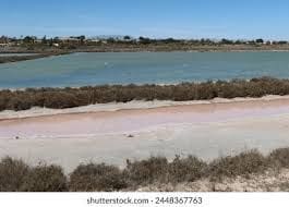 Grunde uden byggetilladelser til salg i La Marina, Elche / Elx - € 50.000 (Ref: 9111878)