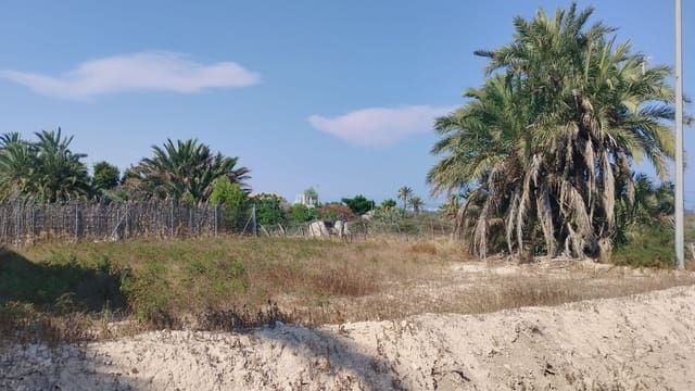 Grunde uden byggetilladelser til salg i La Marina, Elche / Elx - € 50.000 (Ref: 9111878)
