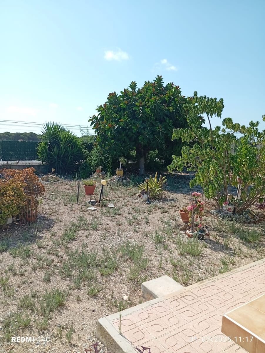 3 chambre Finca/Maison de Campagne à vendre à La Marina avec garage - 300 000 € (Ref: 9124657)