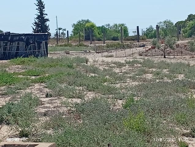 Grunde uden byggetilladelser til salg i La Marina, Elche / Elx - € 50.000 (Ref: 9126607)