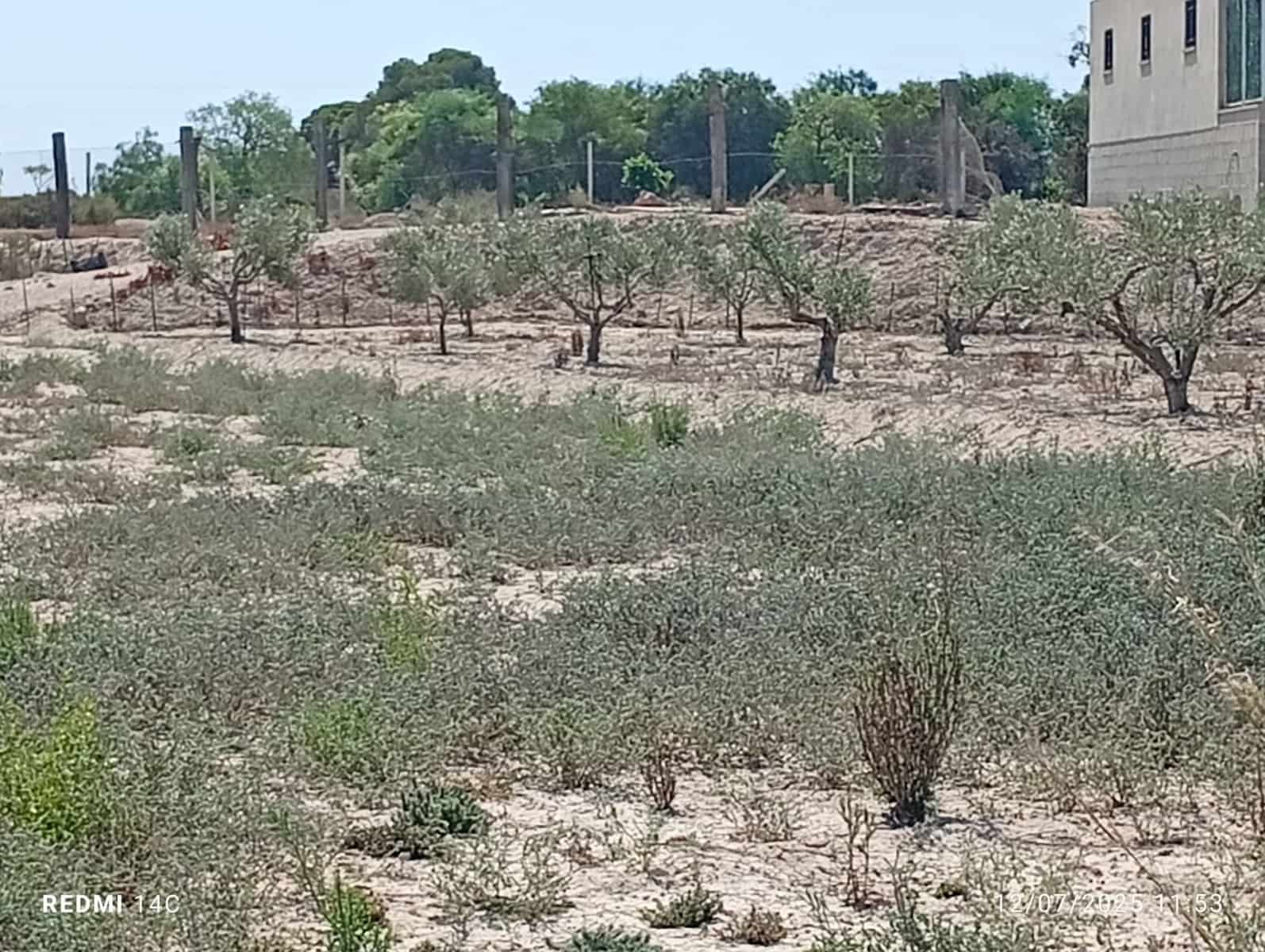 Ubebygd land til salgs i La Marina - € 50 000 (Ref: 9126607)