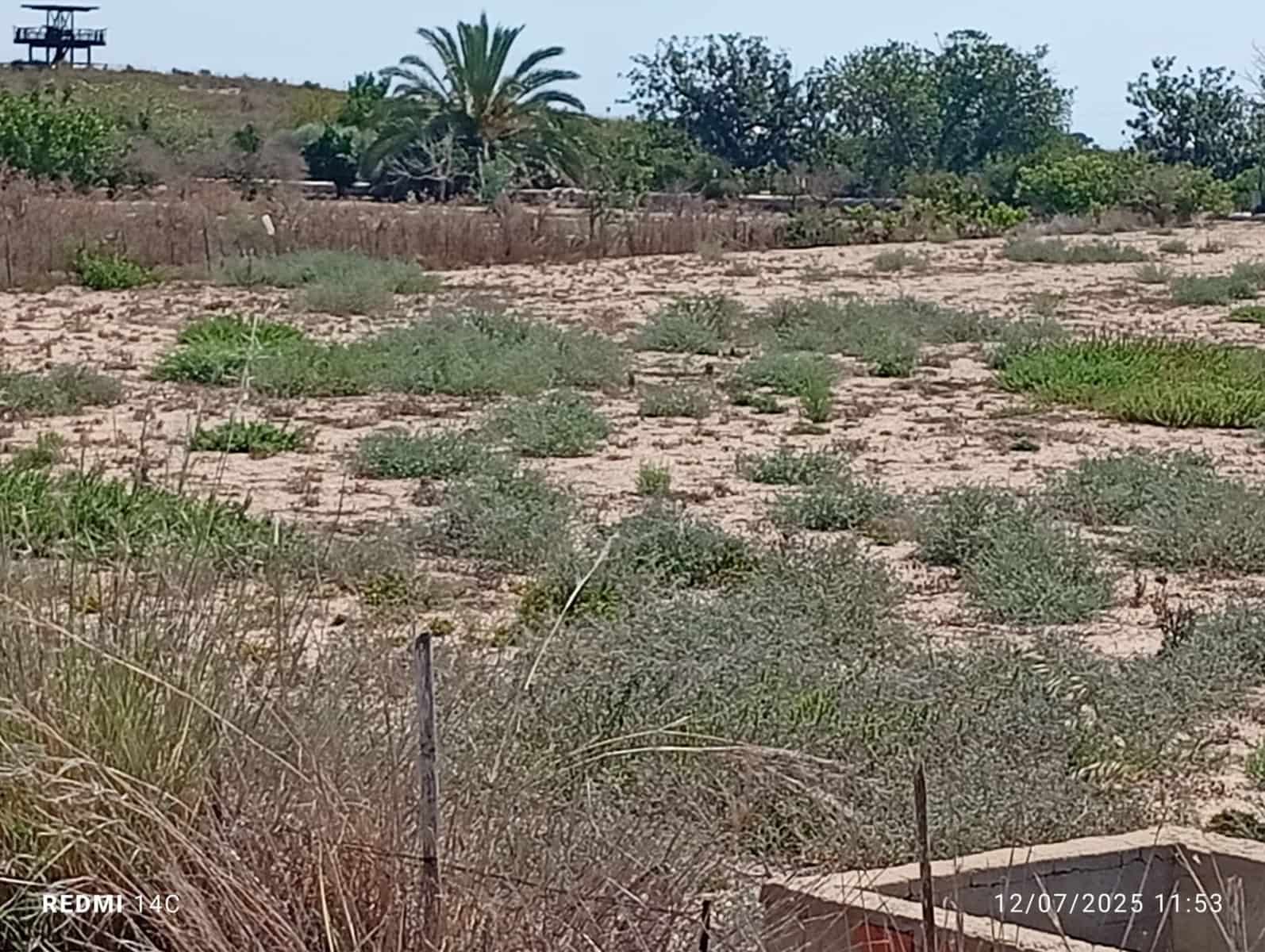 Ubebygd land til salgs i La Marina - € 50 000 (Ref: 9126607)