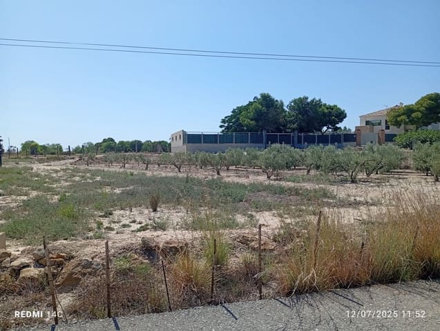 Grunde uden byggetilladelser til salg i La Marina, Elche / Elx - € 50.000 (Ref: 9126607)