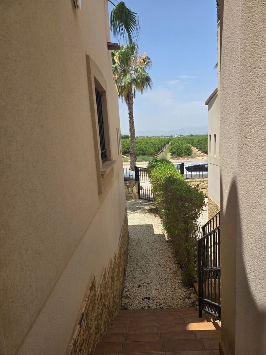 3 soveværelse Bungalow til salg i Algorfa med swimmingpool garage - € 230.000 (Ref: 9162063)