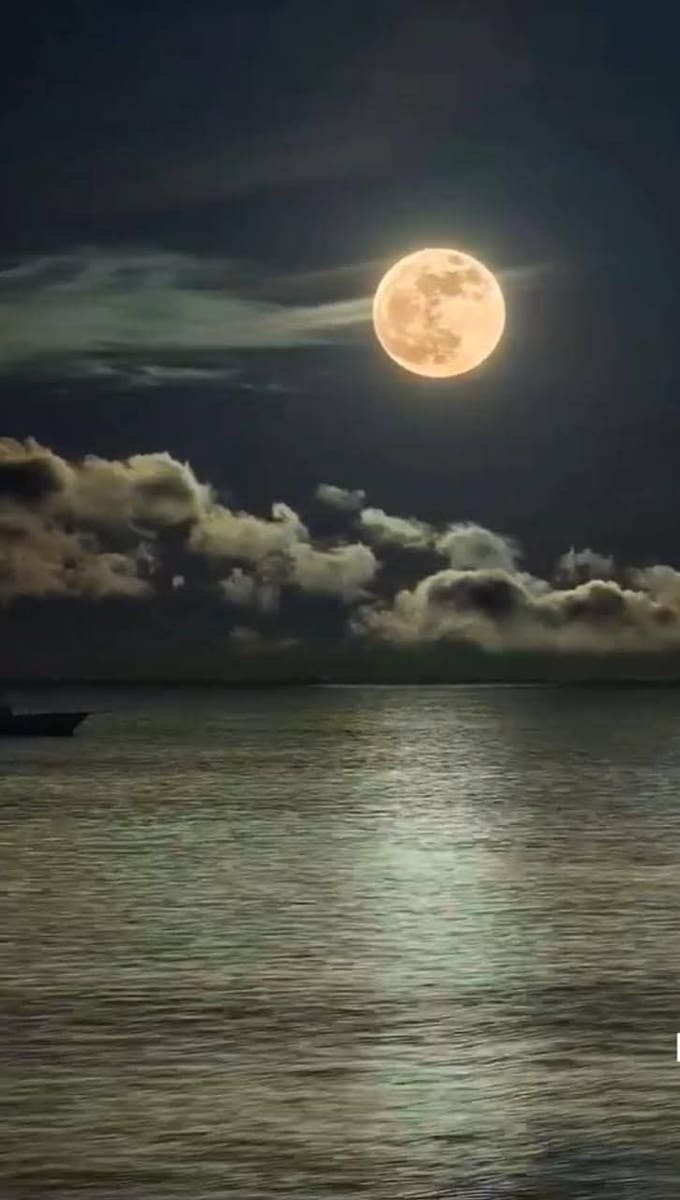 2 soveværelse Lejlighed til salg i La Marina med swimmingpool - € 160.000 (Ref: 9166807)