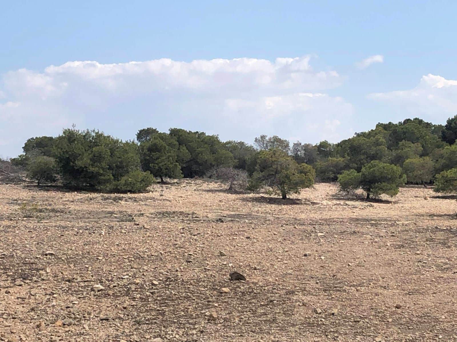 2 soveværelse Lejlighed til salg i La Marina med swimmingpool - € 160.000 (Ref: 9166807)