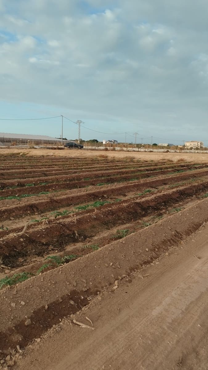 Grunde uden byggetilladelser til salg i La Marina - € 182.000 (Ref: 9321547)