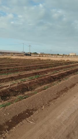 Grunde uden byggetilladelser til salg i La Marina, Elche / Elx - € 182.000 (Ref: 9321547)