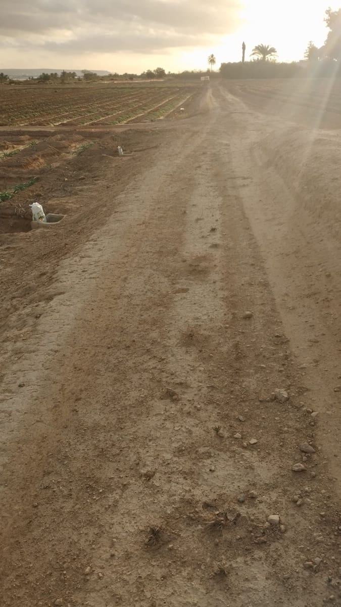 Grunde uden byggetilladelser til salg i La Marina - € 182.000 (Ref: 9321547)