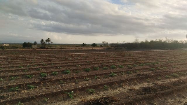 Grunde uden byggetilladelser til salg i La Marina, Elche / Elx - € 182.000 (Ref: 9321547)