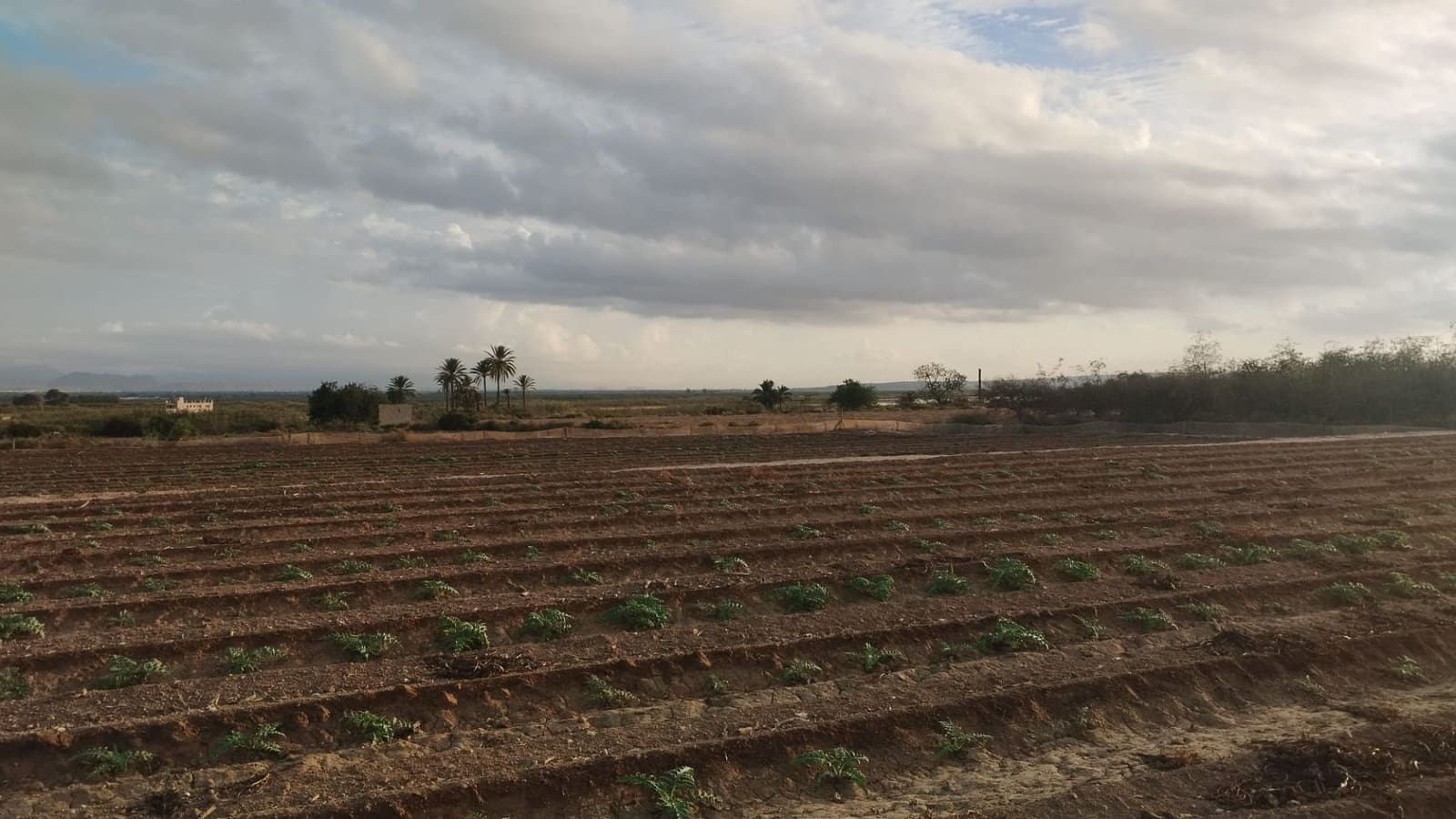 Grunde uden byggetilladelser til salg i La Marina - € 182.000 (Ref: 9321547)