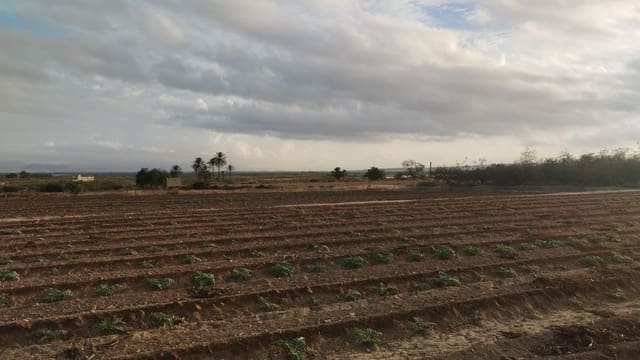 Grunde uden byggetilladelser til salg i La Marina, Elche / Elx - € 182.000 (Ref: 9321547)