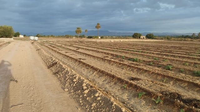 Grunde uden byggetilladelser til salg i La Marina, Elche / Elx - € 182.000 (Ref: 9321547)