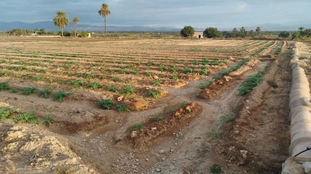 Grunde uden byggetilladelser til salg i La Marina, Elche / Elx - € 182.000 (Ref: 9321547)