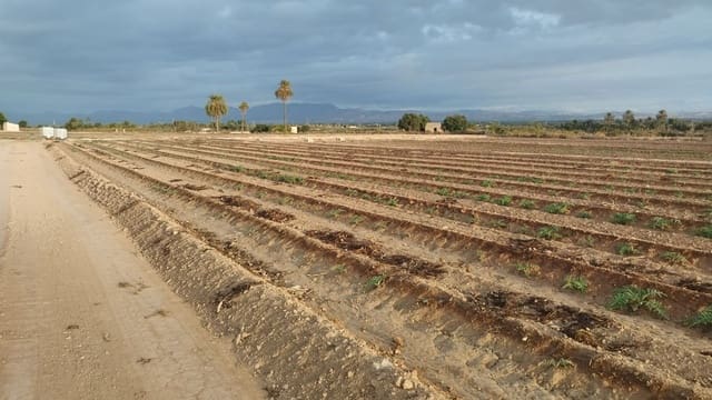 Grunde uden byggetilladelser til salg i La Marina, Elche / Elx - € 182.000 (Ref: 9321547)