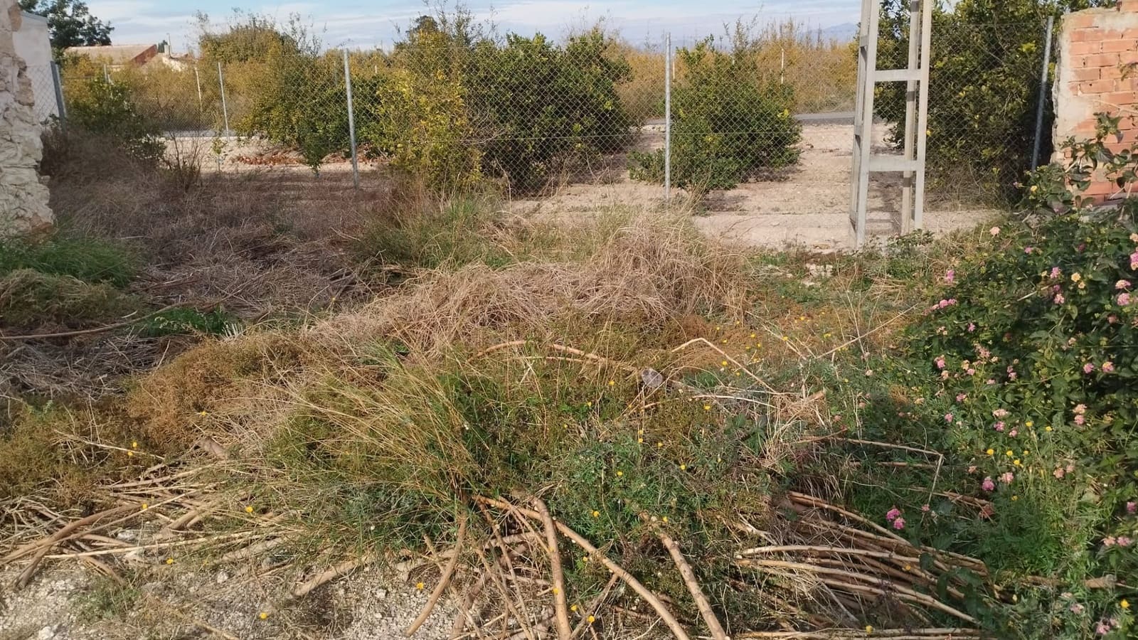 Finca/Landehus til salg i Daya Nueva med garage - € 45.000 (Ref: 9429609)