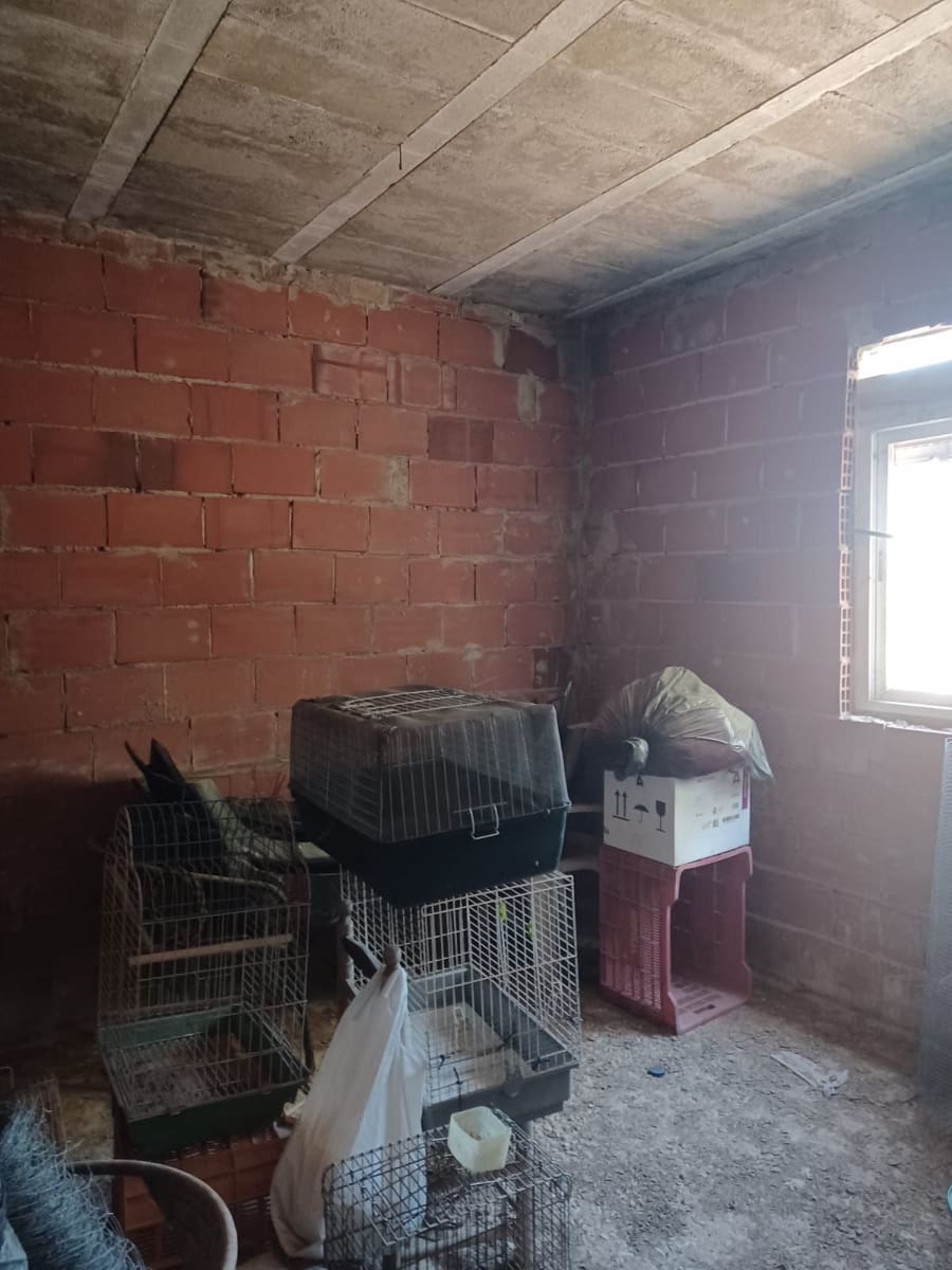 3 quarto Quinta/Casa Rural para venda em Elche / Elx - 175 000 € (Ref: 9439566)