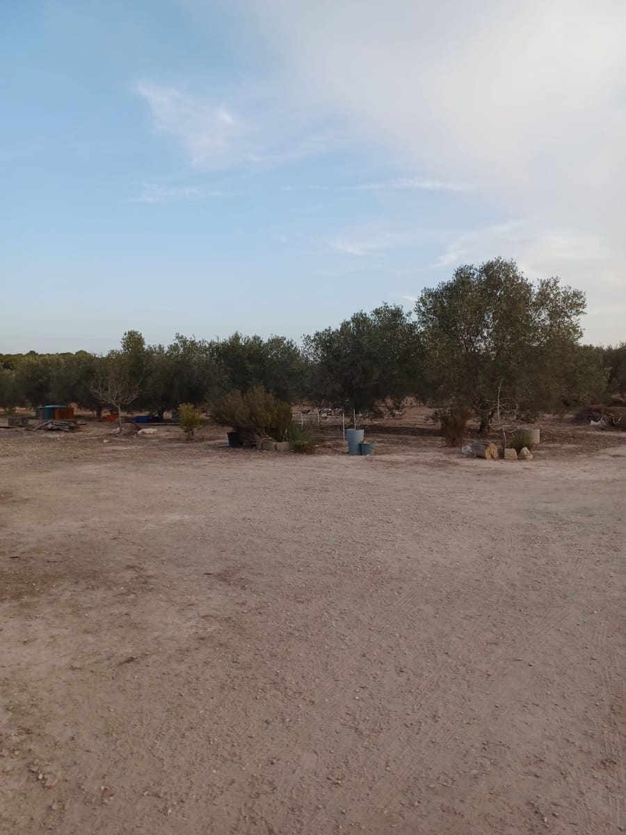 3 quarto Quinta/Casa Rural para venda em Elche / Elx - 175 000 € (Ref: 9439566)