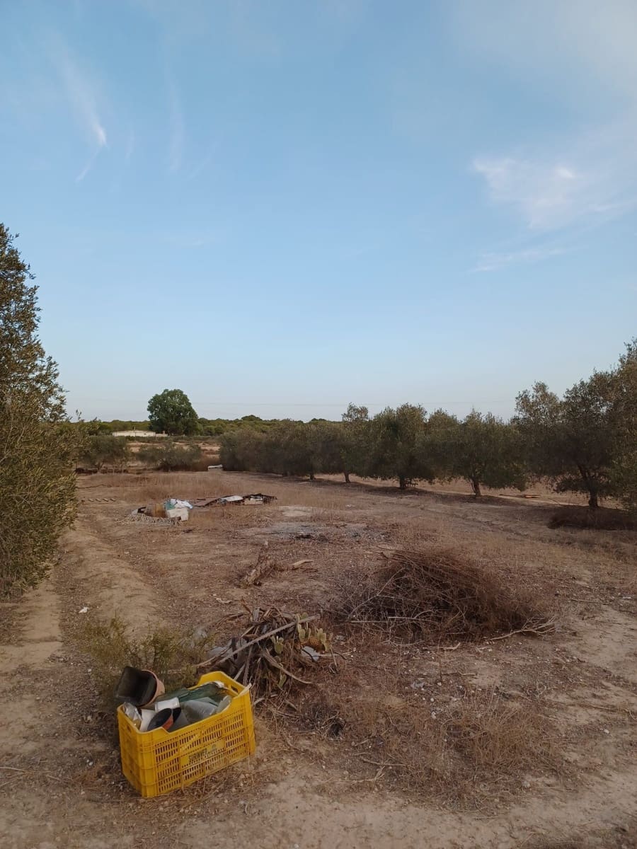 3 quarto Quinta/Casa Rural para venda em Elche / Elx - 175 000 € (Ref: 9439566)