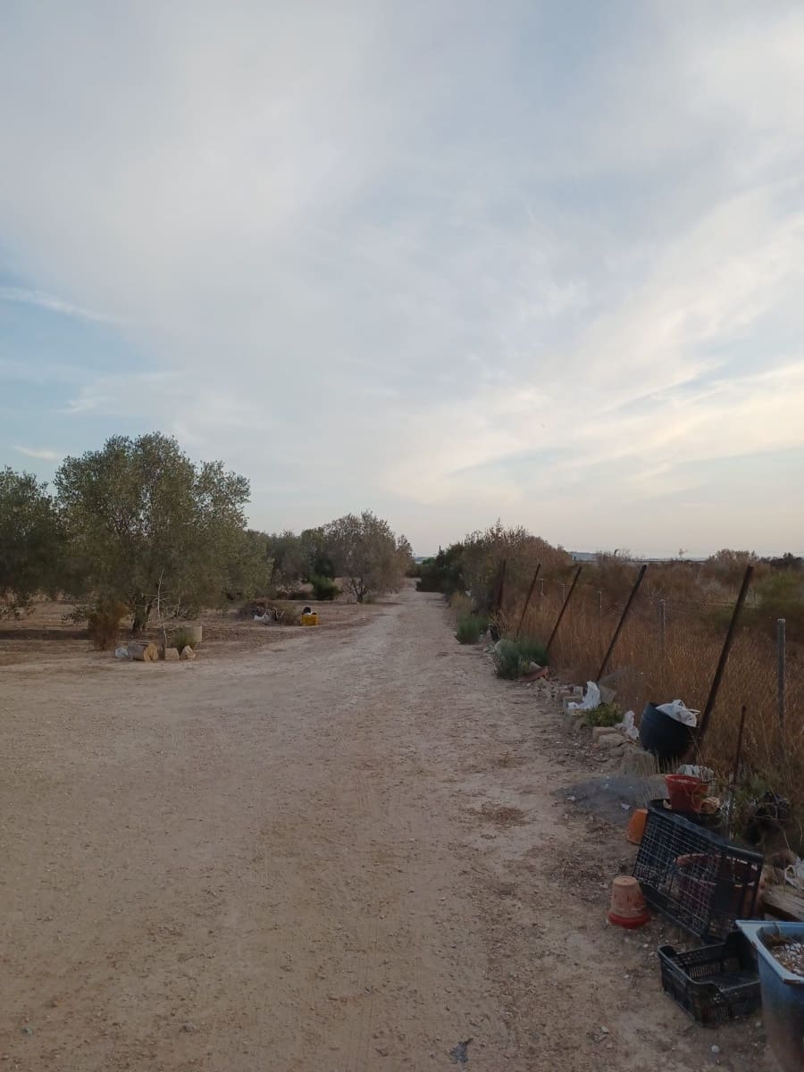 3 quarto Quinta/Casa Rural para venda em Elche / Elx - 175 000 € (Ref: 9439566)