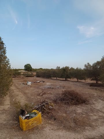 3 soveværelse Finca/Landehus til salg i Elche / Elx - € 175.000 (Ref: 9439566)