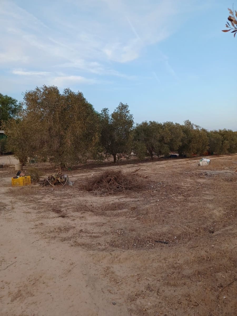 3 quarto Quinta/Casa Rural para venda em Elche / Elx - 175 000 € (Ref: 9439566)