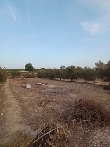 3 soveværelse Finca/Landehus til salg i Elche / Elx - € 175.000 (Ref: 9439566)