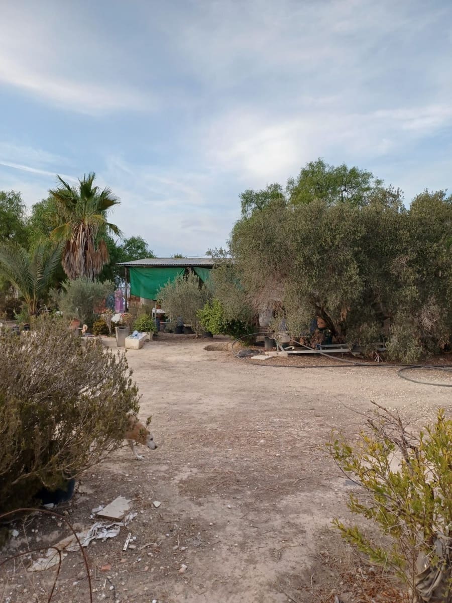 3 quarto Quinta/Casa Rural para venda em Elche / Elx - 175 000 € (Ref: 9439566)