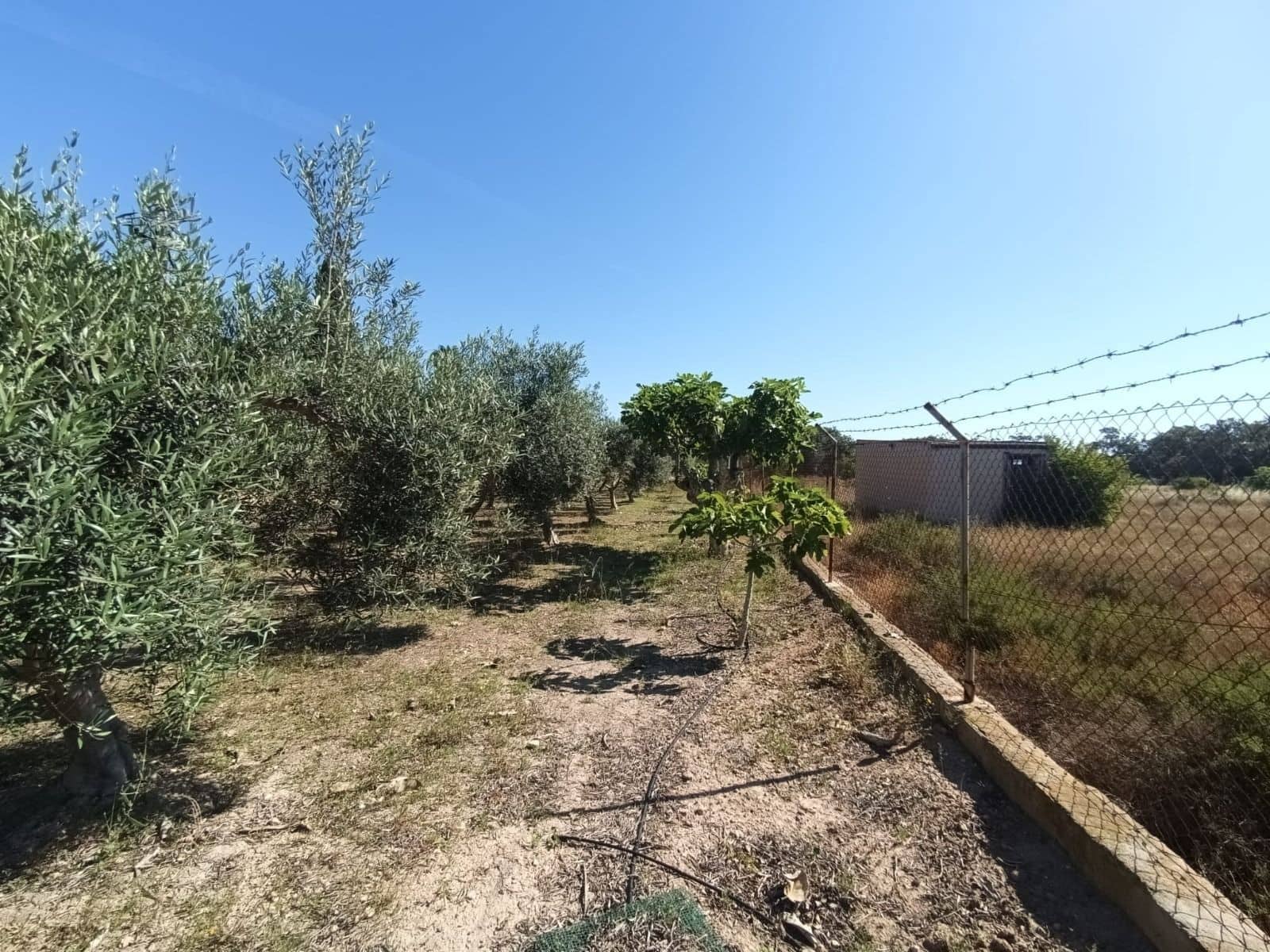 5 sovrum Villa till salu i La Marina - 290 000 € (Ref: 9880635)