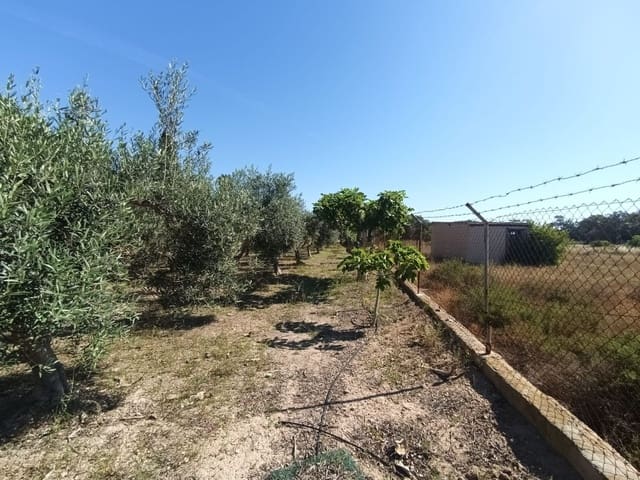 5 sypialnia Willa na sprzedaż w La Marina, Elche / Elx - 290 000 € (Ref: 9880635)