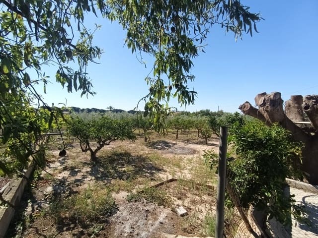 5 sypialnia Willa na sprzedaż w La Marina, Elche / Elx - 290 000 € (Ref: 9880635)