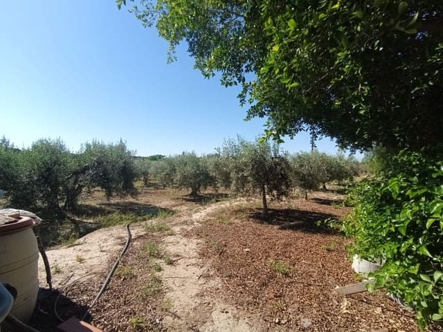 5 sypialnia Willa na sprzedaż w La Marina, Elche / Elx - 290 000 € (Ref: 9880635)