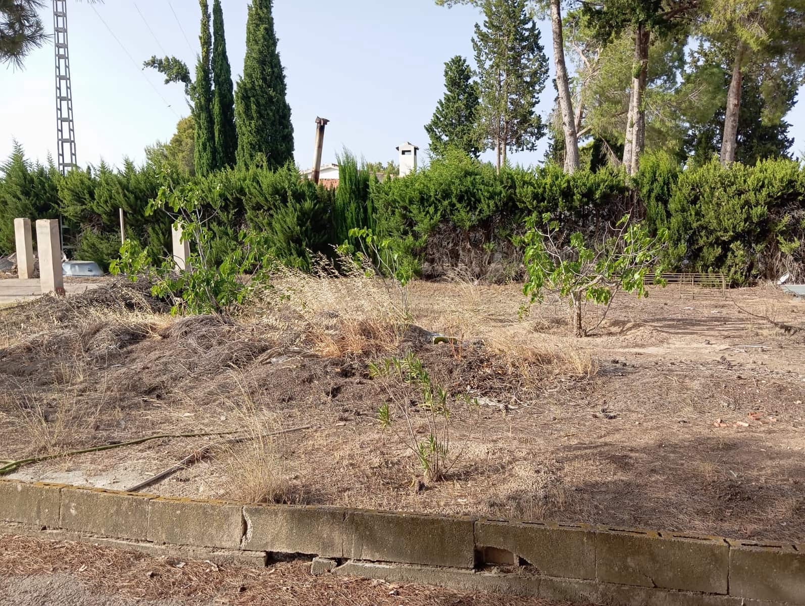 5 quarto Quinta/Casa Rural para venda em Yecla - 180 000 € (Ref: 10012527)