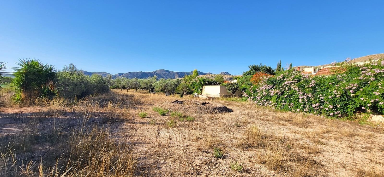 3 soverom Villa til salgs i La Romana med svømmebasseng - € 329 999 (Ref: 9275010)