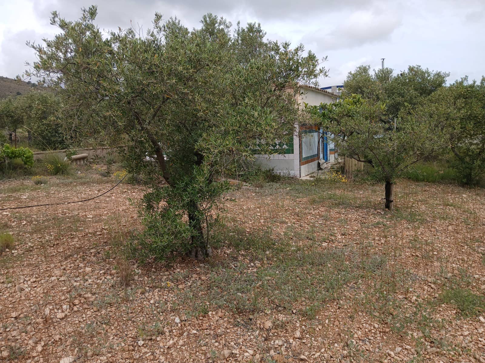 5 chambre Finca/Maison de Campagne à vendre à Yecla avec piscine garage - 70 000 € (Ref: 9275027)