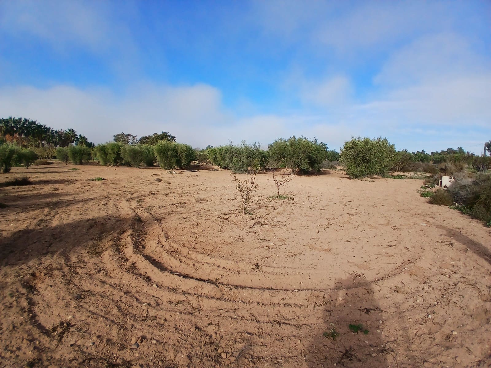 3 slaapkamer Finca/Landhuis te koop in Jumilla met garage - € 140.000 (Ref: 9275067)