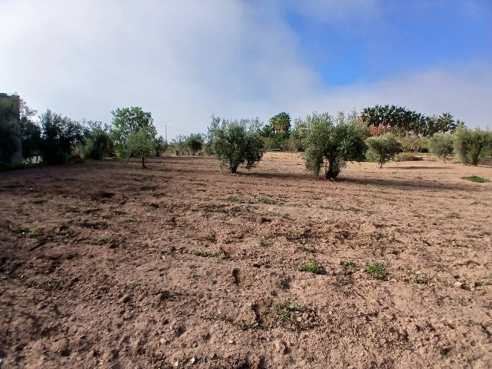 3 slaapkamer Finca/Landhuis te koop in Jumilla met garage - € 140.000 (Ref: 9275067)