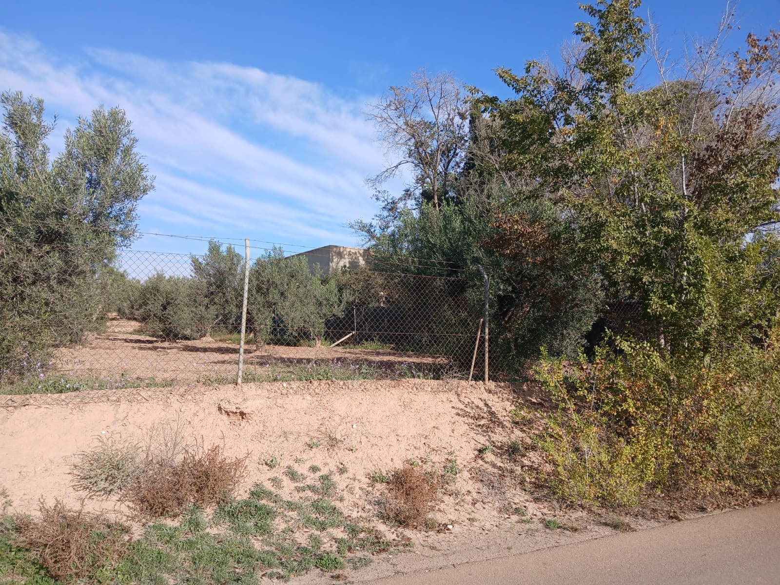 3 slaapkamer Finca/Landhuis te koop in Jumilla met garage - € 140.000 (Ref: 9275067)